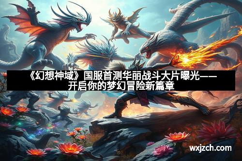 《幻想神域》国服首测华丽战斗大片曝光——开启你的梦幻冒险新篇章